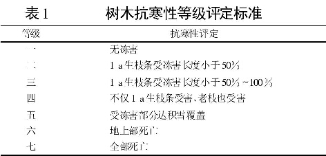 表1 樹(shù)木抗寒性等級評定標準