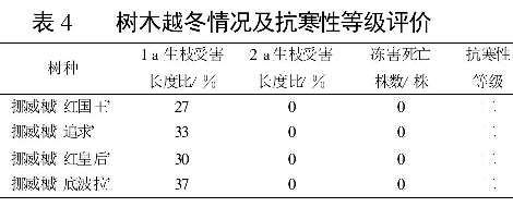 表4 樹(shù)木越冬情況及抗寒性等級評價(jià)