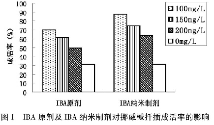 圖1 IBA原劑及IBA納米制劑對挪威黃金楓扦插成活率的影響